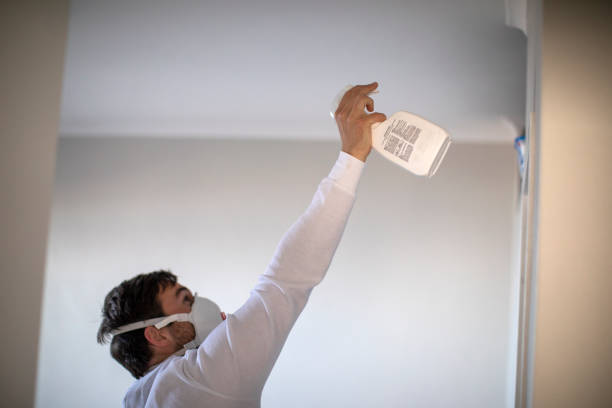 Professional Mold Removal in Forest Glen, MD