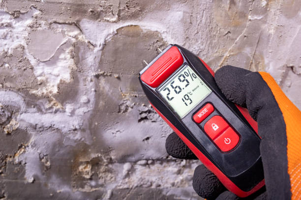 Best Professional Mold Removal  in Forest Glen, MD